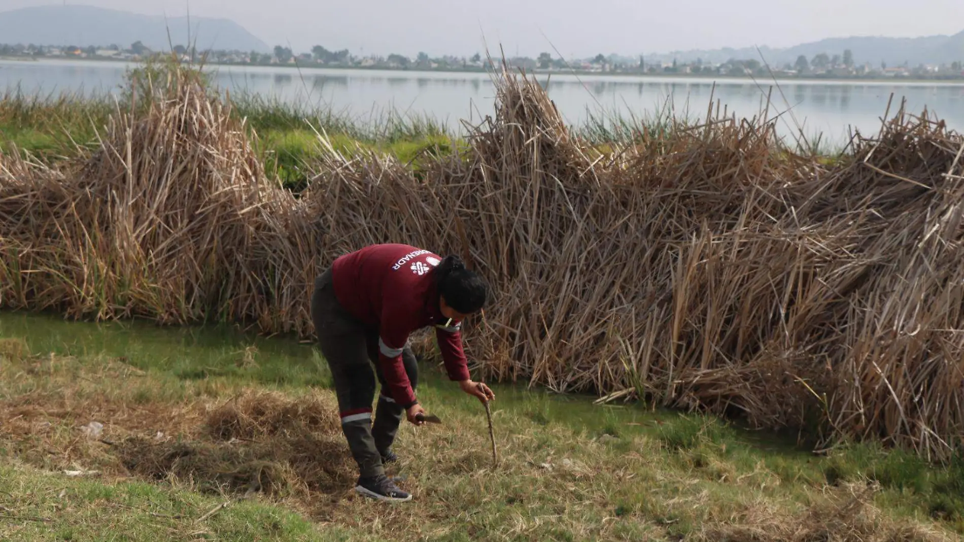 Área Natural Protegida del lago de Tláhuac-Xico